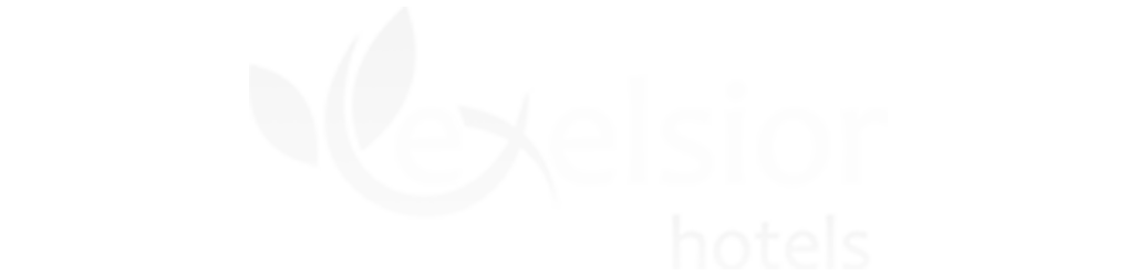 exelsior logo 1